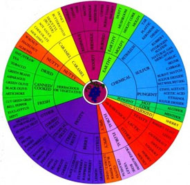 aroma wheel