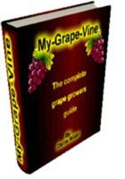 my grape vine