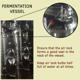 fermentation lock