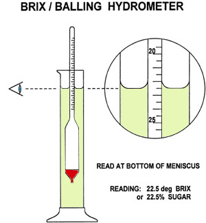 How to read a hydrometer
